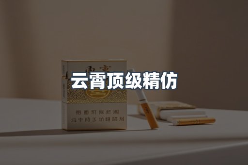 云霄顶级精仿